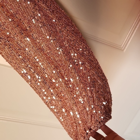 ✨️NWT HELLO MOLLY ZOE SEQUIN DRESS in Bronze XL - Picture 8 of 15